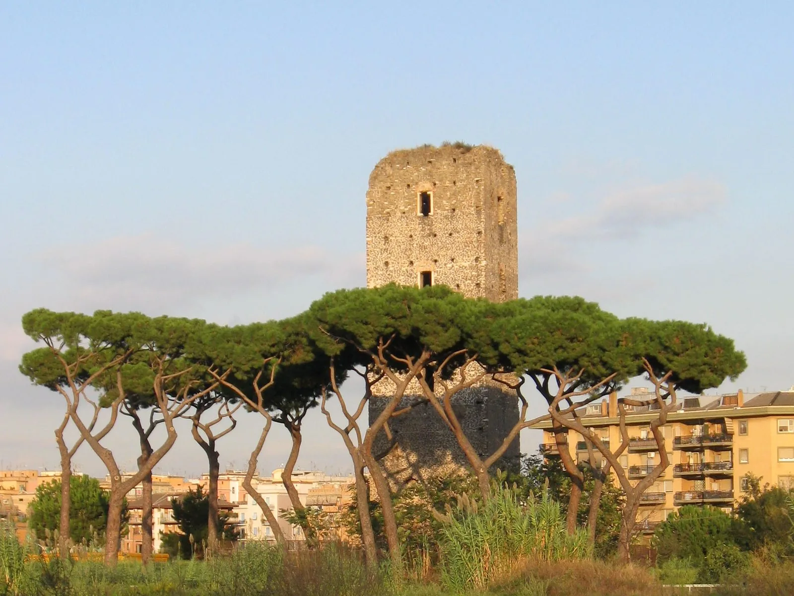La Torre di Centocelle, torre medievale in pietra, che si alza dietro una fila di pini a ombrello, con palazzi residenziali sulla destra e il cielo chiaro del tramonto